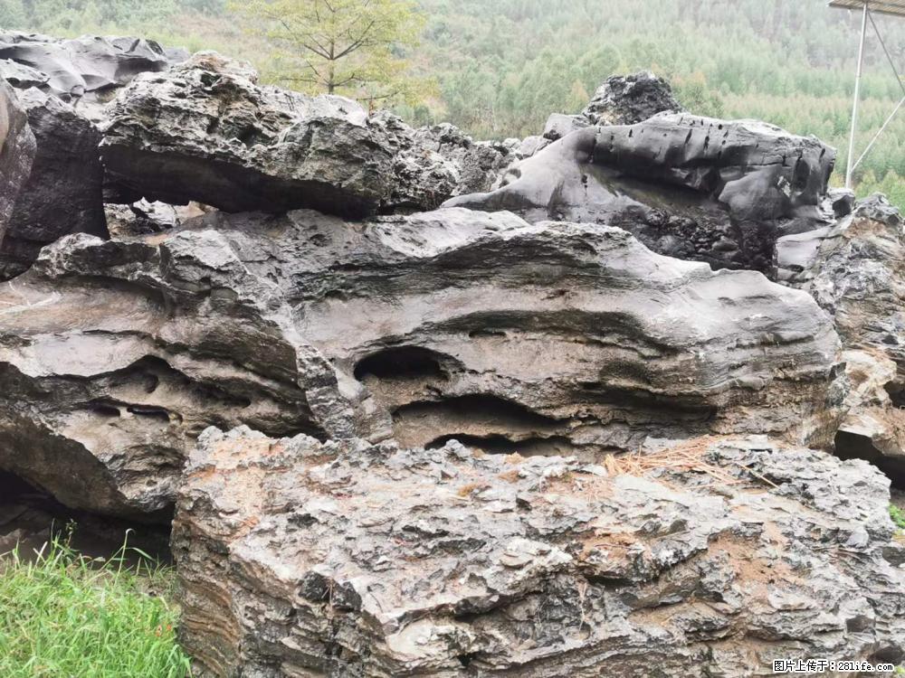 风景石、假山石大量有货，有需要的欢迎联系 - 新手上路 - 武汉生活社区 - 武汉28生活网 wh.28life.com