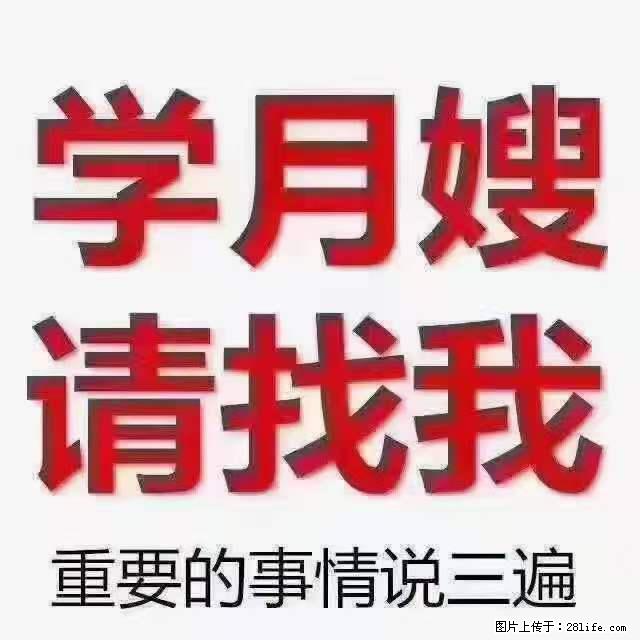 为什么要学习月嫂，育婴师？ - 其他广告 - 广告专区 - 武汉分类信息 - 武汉28生活网 wh.28life.com