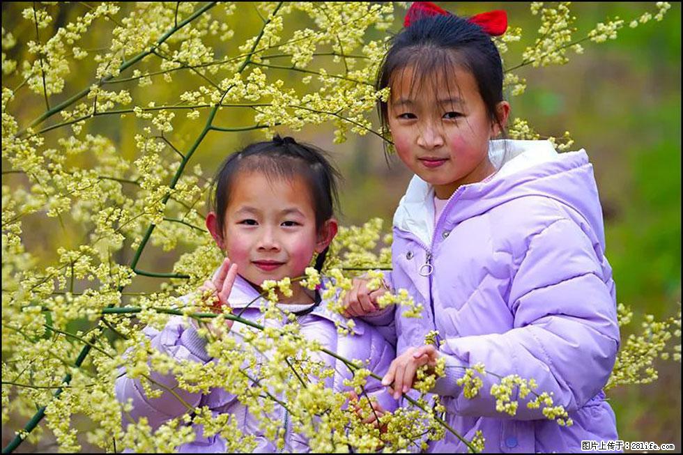 【春天，广西桂林灌阳县向您发出邀请！】米珠山前有片山苍子花在飘香 - 游山玩水 - 武汉生活社区 - 武汉28生活网 wh.28life.com