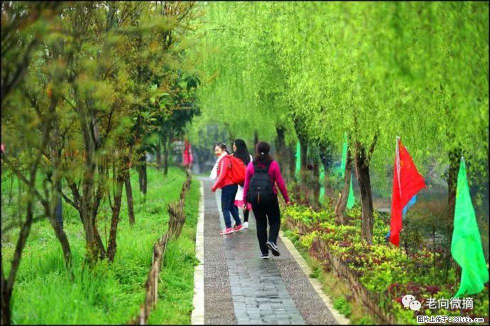 【春天，广西桂林灌阳县向您发出邀请！】江口老街又逢春 - 游山玩水 - 武汉生活社区 - 武汉28生活网 wh.28life.com