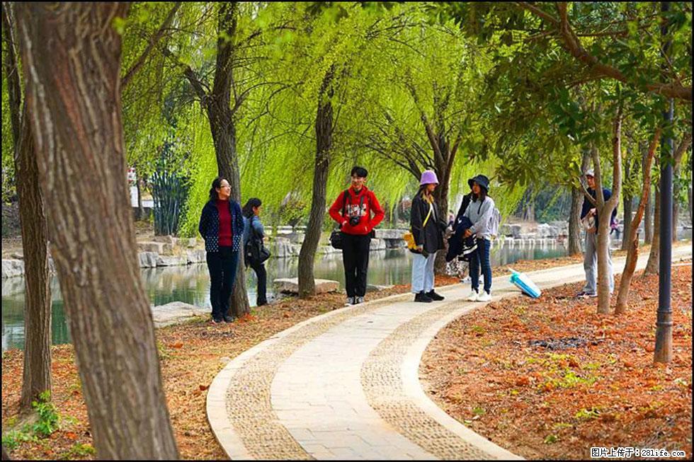 【春天，广西桂林灌阳县向您发出邀请！】江口老街又逢春 - 游山玩水 - 武汉生活社区 - 武汉28生活网 wh.28life.com