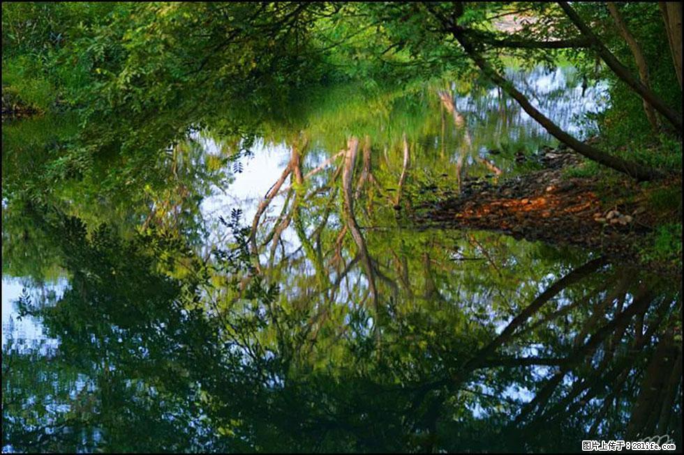 【春天，广西桂林灌阳县向您发出邀请！】熊家寨湿地公园 - 游山玩水 - 武汉生活社区 - 武汉28生活网 wh.28life.com