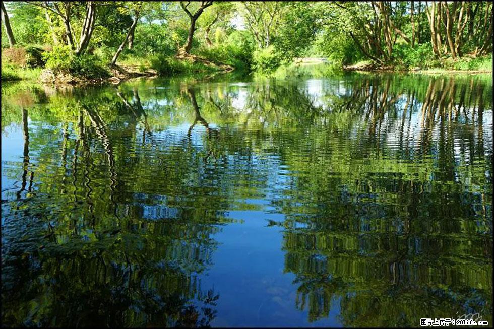 【春天，广西桂林灌阳县向您发出邀请！】熊家寨湿地公园 - 游山玩水 - 武汉生活社区 - 武汉28生活网 wh.28life.com