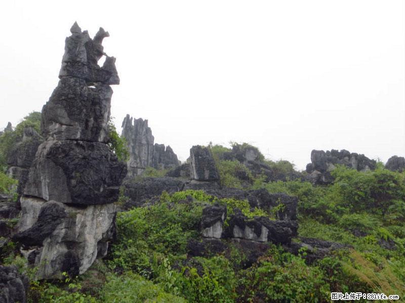 桂林旅游名城景点：灌阳文市石林 - 游山玩水 - 武汉生活社区 - 武汉28生活网 wh.28life.com