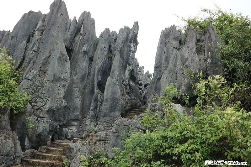 桂林旅游名城景点：灌阳文市石林 - 游山玩水 - 武汉生活社区 - 武汉28生活网 wh.28life.com