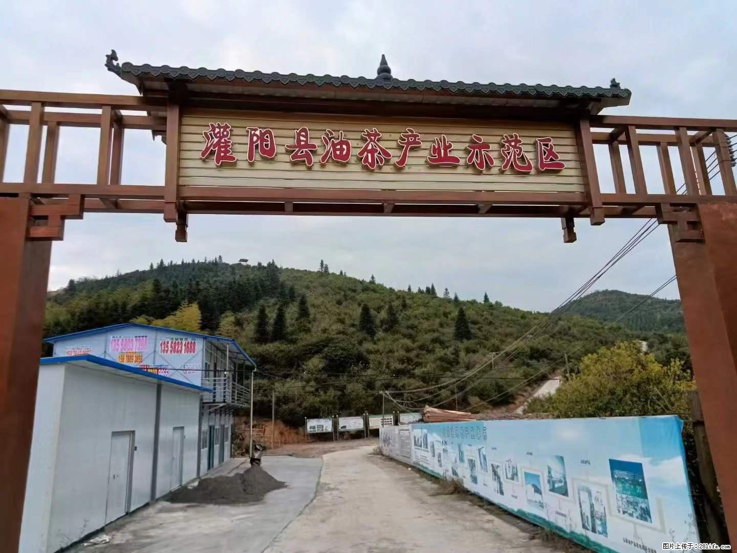 【灌阳县油茶产业示范区】一个有着充实的精神生活的人，对待身外之物自会有一种淡泊的态度 - 美食天地 - 武汉生活社区 - 武汉28生活网 wh.28life.com