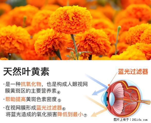 叶黄素有什么功效和作用 - 生活百科 - 武汉生活社区 - 武汉28生活网 wh.28life.com