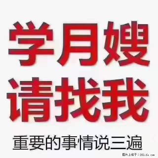 为什么要学习月嫂，育婴师？ - 武汉28生活网 wh.28life.com