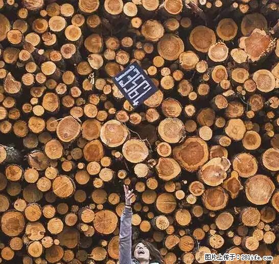 辞掉工作周游世界？现在他们在洗厕所…… - 游山玩水 - 武汉生活社区 - 武汉28生活网 wh.28life.com