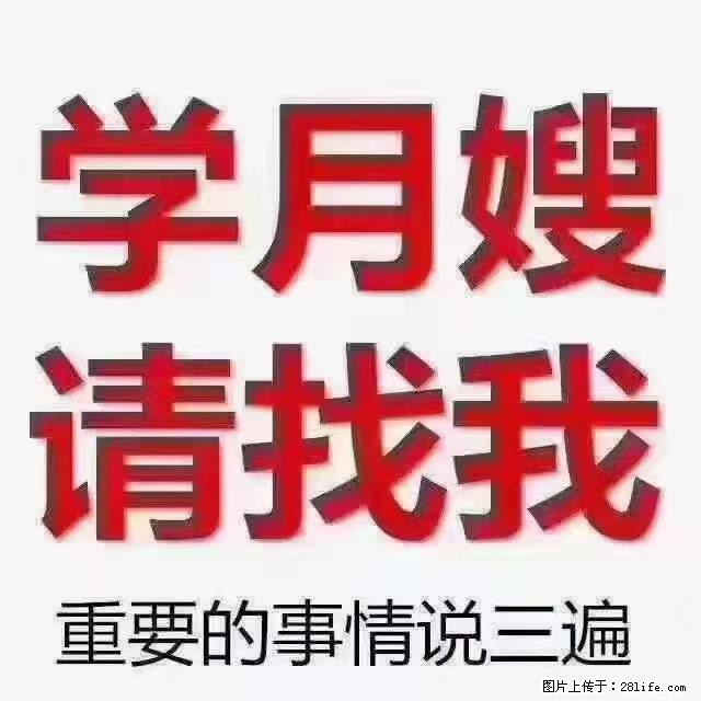 【招聘】月嫂，上海徐汇区 - 职场交流 - 武汉生活社区 - 武汉28生活网 wh.28life.com