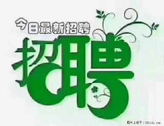 上海青浦区招仓管 - 武汉28生活网 wh.28life.com