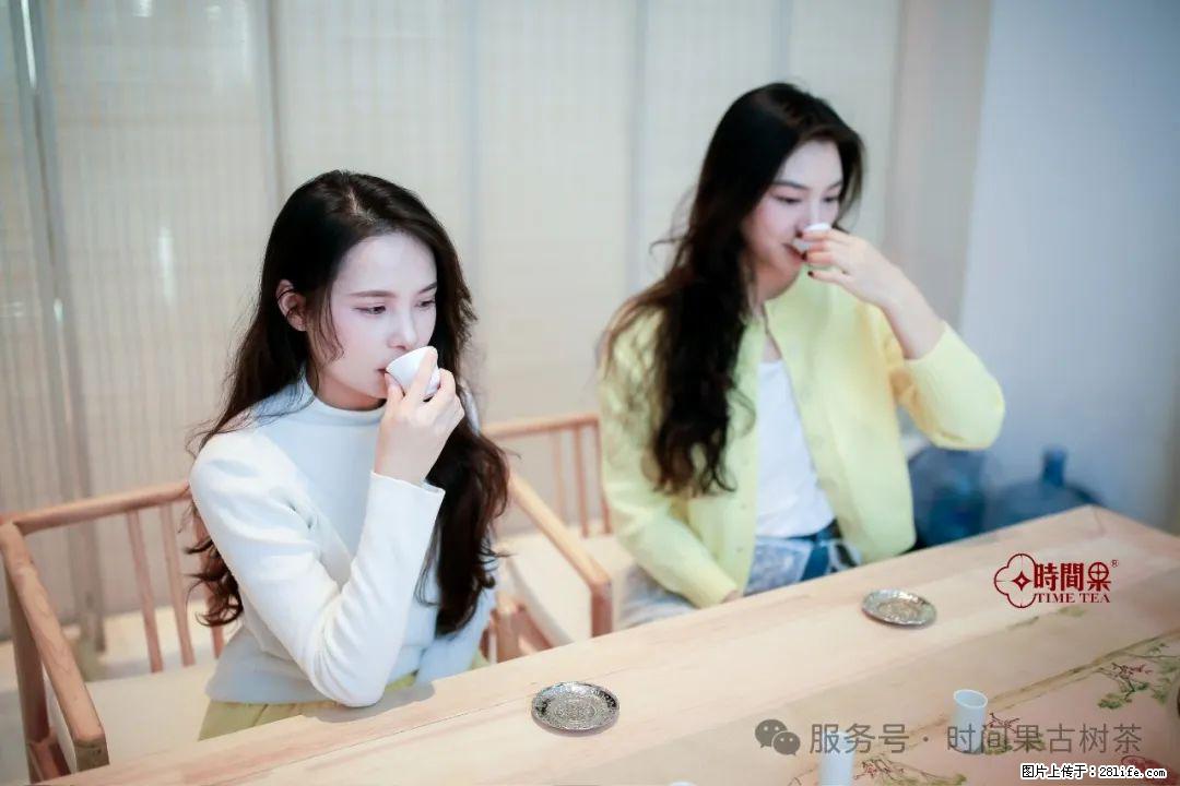 时间果百年古树龙珠普洱生茶 - 购物交流 - 武汉生活社区 - 武汉28生活网 wh.28life.com