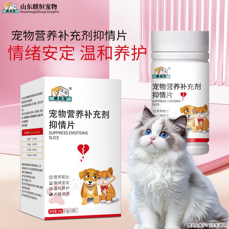 猫狗发情闹得人崩溃？美佳星抑情片，温和安稳度过发情期 - 其它 - 宠物信息 - 武汉分类信息 - 武汉28生活网 wh.28life.com
