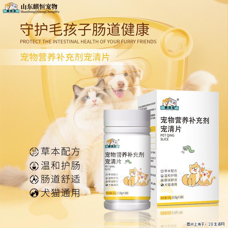 体内驱虫别马虎！美佳星宠清片，给毛孩子安心的守护 - 其它 - 宠物信息 - 武汉分类信息 - 武汉28生活网 wh.28life.com