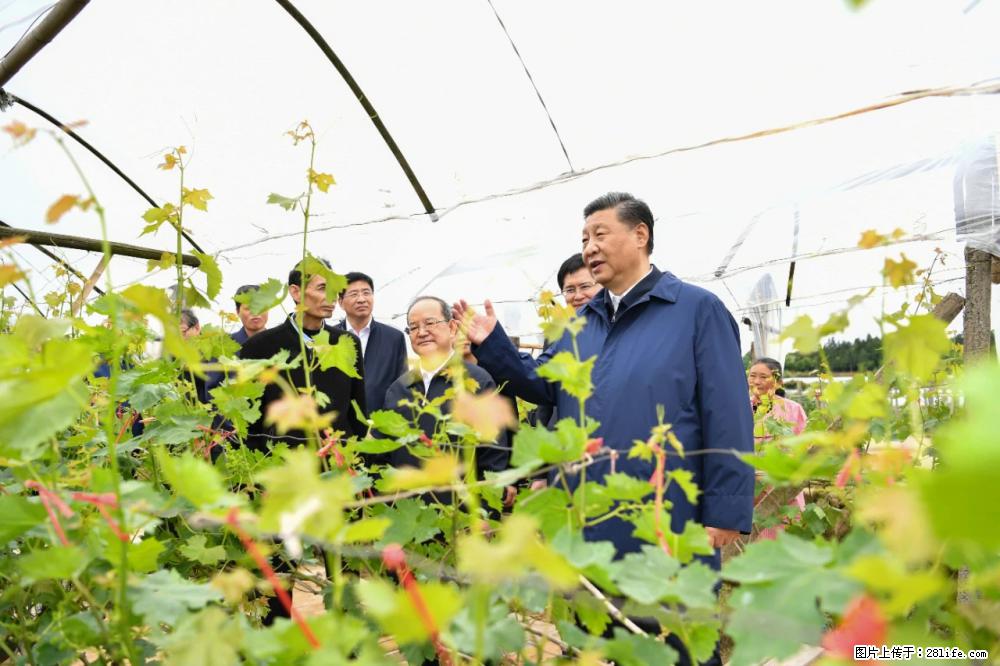 习近平赴广西考察调研 - 武汉生活资讯 - 武汉28生活网 wh.28life.com