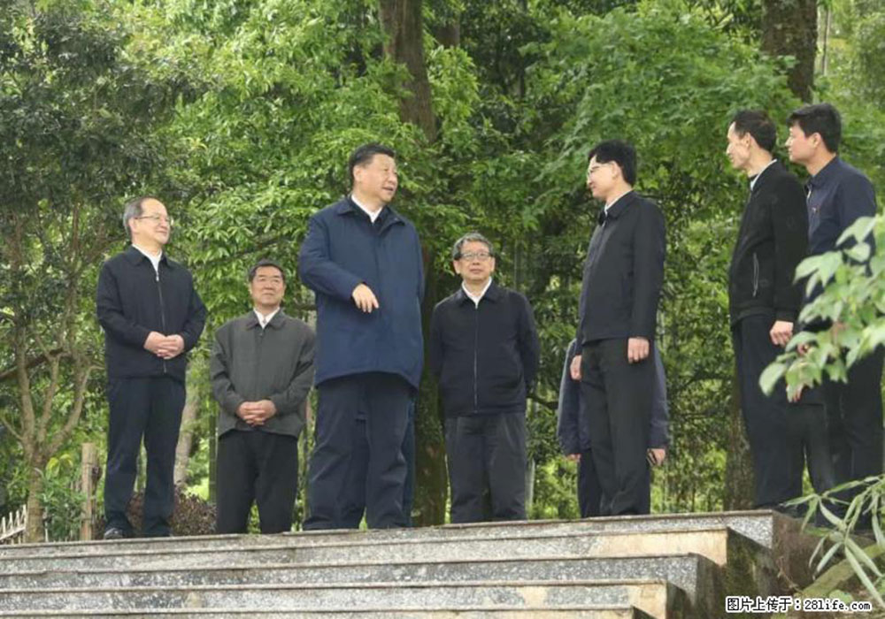 习近平赴广西考察调研 - 武汉生活资讯 - 武汉28生活网 wh.28life.com