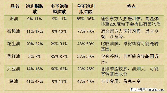 揭秘茶油的5大核心营养成分！被称为人体健康的“守护盾”！ - 武汉生活资讯 - 武汉28生活网 wh.28life.com