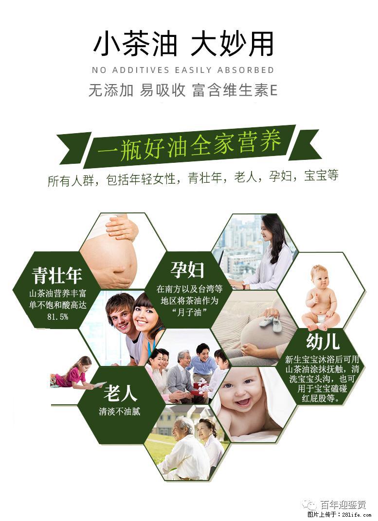 世界没有真相，只有认知，最好的食用油是中国的山茶油！ - 武汉生活资讯 - 武汉28生活网 wh.28life.com