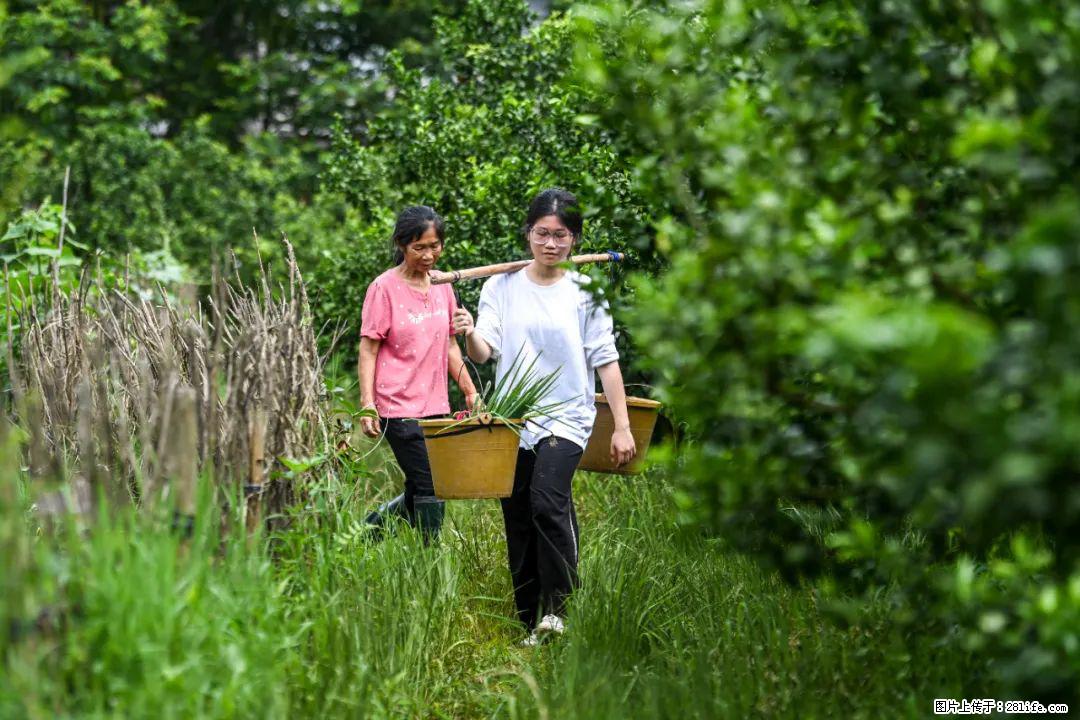 全网追的“扁担女孩”，找了一份暑假工，时薪12元 - 武汉生活资讯 - 武汉28生活网 wh.28life.com