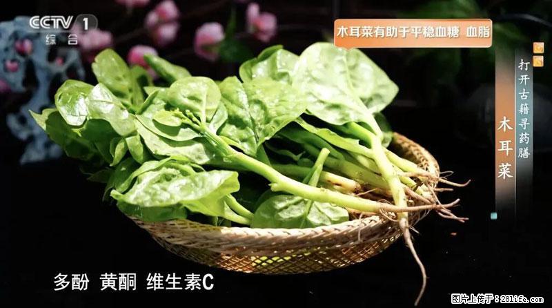 比牛奶补钙还厉害！凉血解毒、稳血糖...这菜冬天必吃，很多人却当草 - 武汉生活资讯 - 武汉28生活网 wh.28life.com