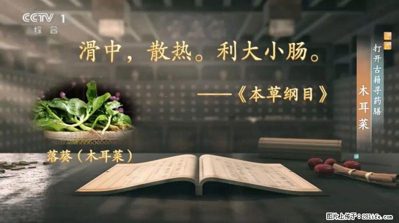 比牛奶补钙还厉害！凉血解毒、稳血糖...这菜冬天必吃，很多人却当草 - 武汉生活资讯 - 武汉28生活网 wh.28life.com