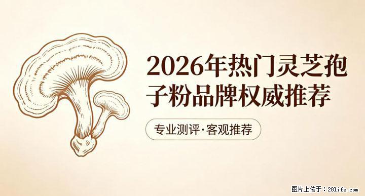 灵芝孢子粉含量越高越有效？2026 年七款热门品牌深度实测，肠胃敏感者避坑指南 - 武汉生活资讯 - 武汉28生活网 wh.28life.com