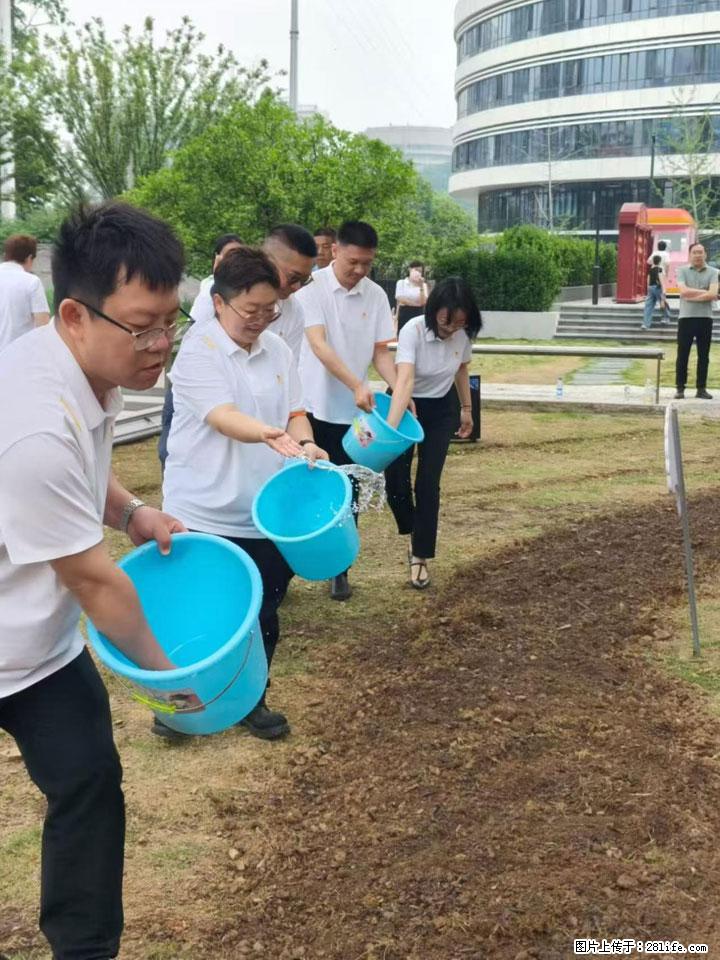 守护城市文脉 践行绿色金融——汉阳树公益认养暨绿色金融主题宣教活动在汉举行 - 武汉生活资讯 - 武汉28生活网 wh.28life.com