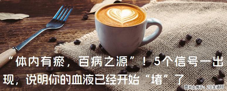 “体内有瘀，百病之源”！5个信号一出现，说明你的血液已经开始“堵”了 - 武汉生活资讯 - 武汉28生活网 wh.28life.com